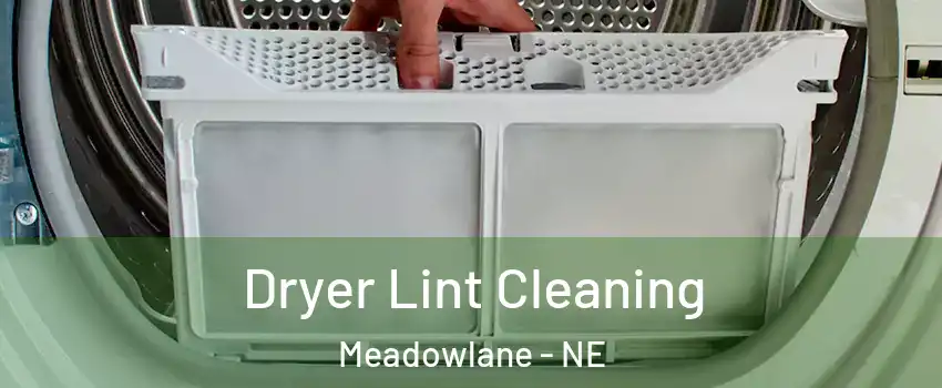 Dryer Lint Cleaning Meadowlane - NE