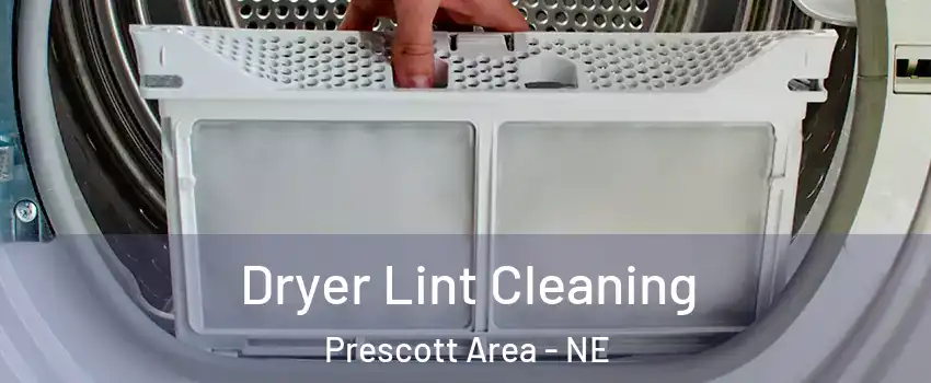 Dryer Lint Cleaning Prescott Area - NE