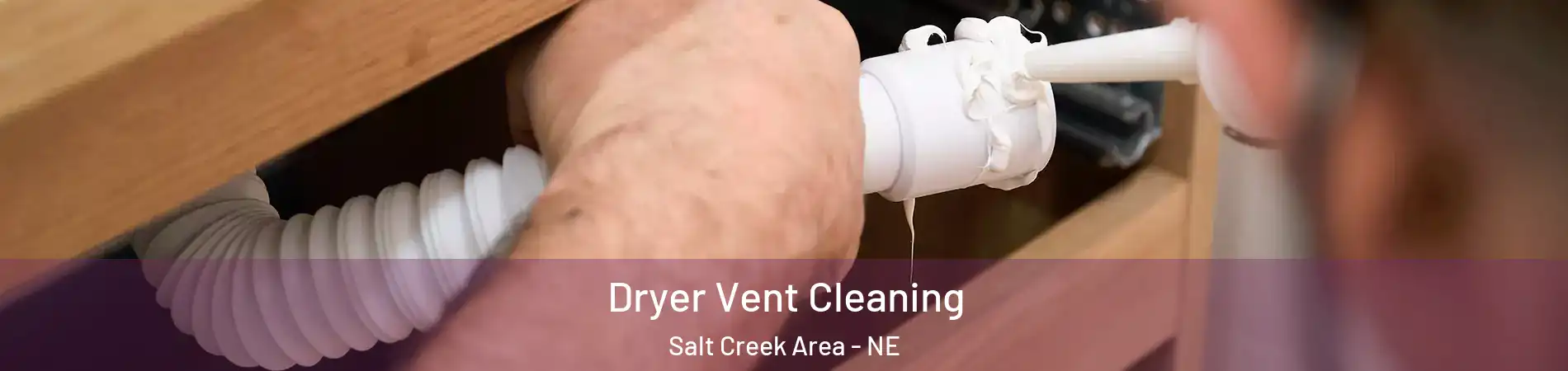 Dryer Vent Cleaning Salt Creek Area - NE