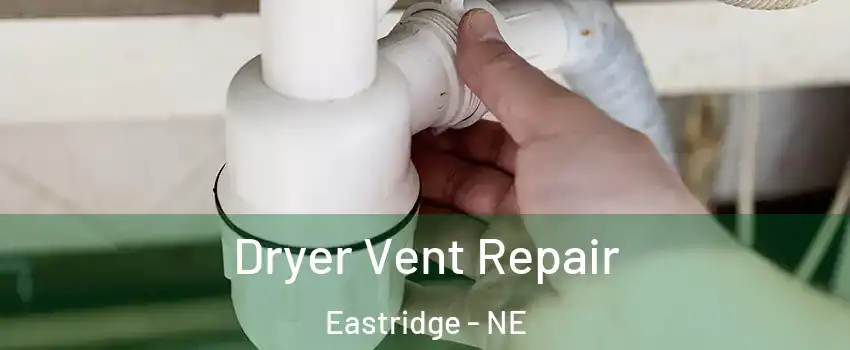 Dryer Vent Repair Eastridge - NE
