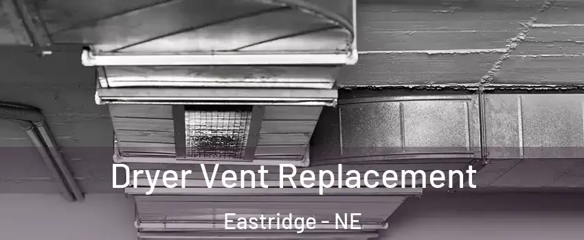Dryer Vent Replacement Eastridge - NE