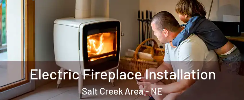 Electric Fireplace Installation Salt Creek Area - NE