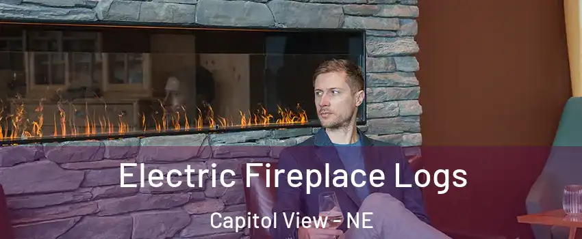 Electric Fireplace Logs Capitol View - NE