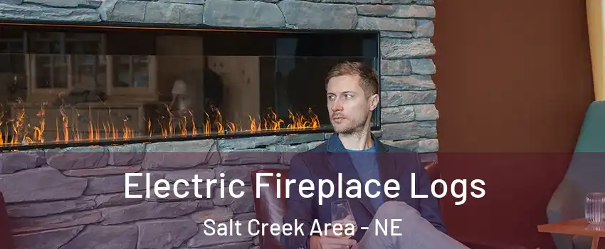 Electric Fireplace Logs Salt Creek Area - NE