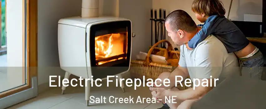 Electric Fireplace Repair Salt Creek Area - NE
