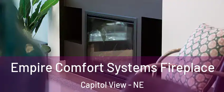 Empire Comfort Systems Fireplace Capitol View - NE