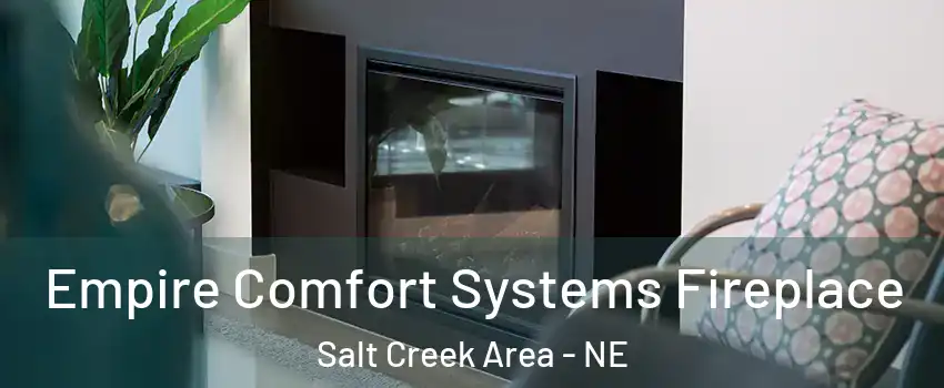 Empire Comfort Systems Fireplace Salt Creek Area - NE