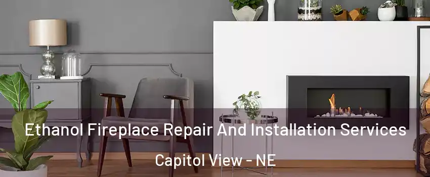 Ethanol Fireplace Repair And Installation Services Capitol View - NE
