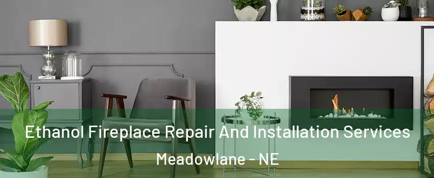 Ethanol Fireplace Repair And Installation Services Meadowlane - NE
