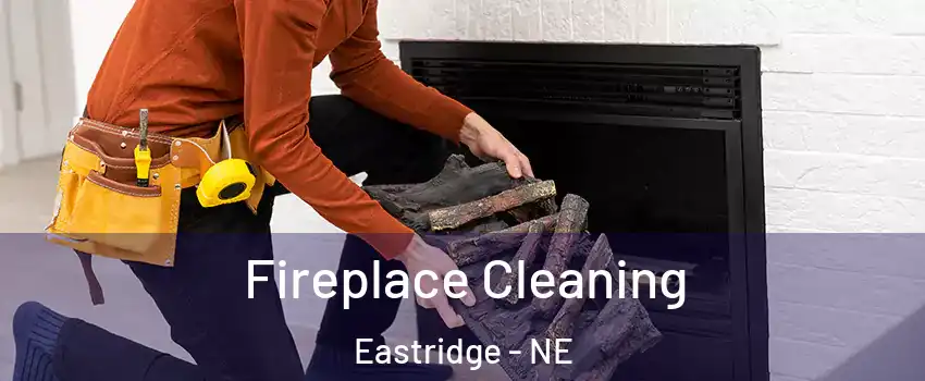 Fireplace Cleaning Eastridge - NE