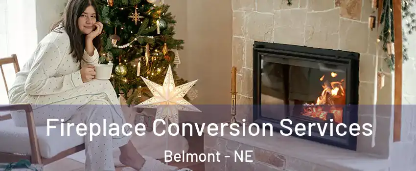 Fireplace Conversion Services Belmont - NE