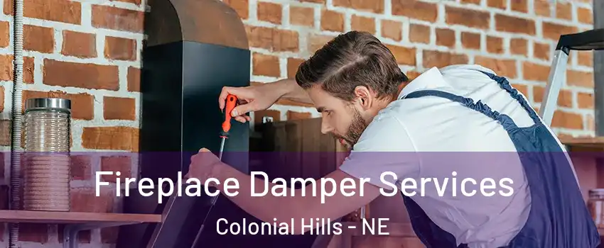 Fireplace Damper Services Colonial Hills - NE