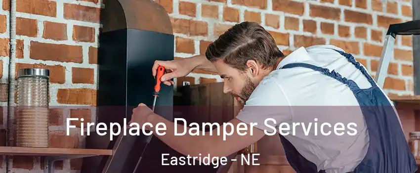 Fireplace Damper Services Eastridge - NE