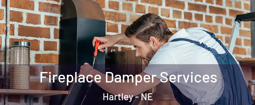Fireplace Damper Services Hartley - NE