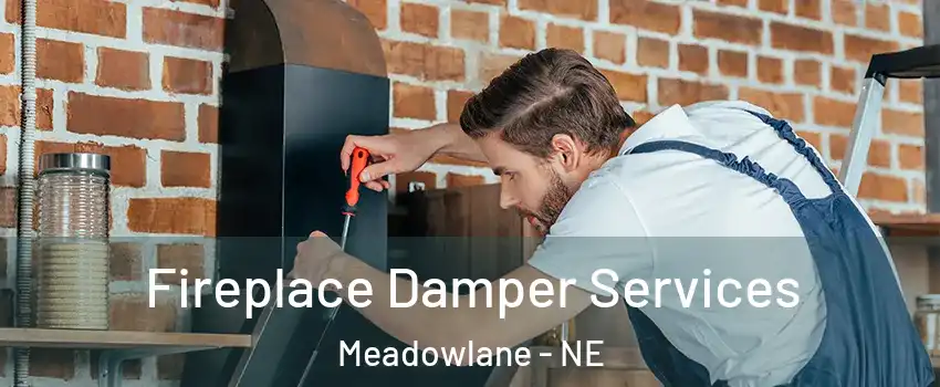 Fireplace Damper Services Meadowlane - NE