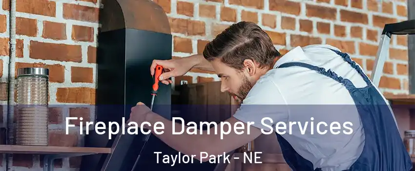 Fireplace Damper Services Taylor Park - NE