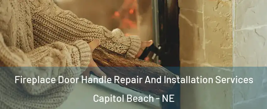 Fireplace Door Handle Repair And Installation Services Capitol Beach - NE