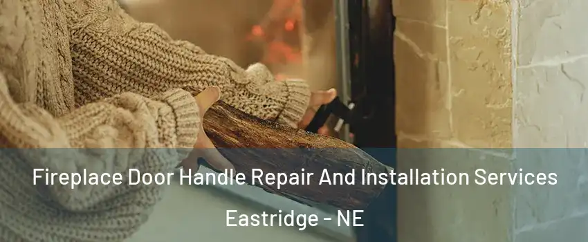 Fireplace Door Handle Repair And Installation Services Eastridge - NE
