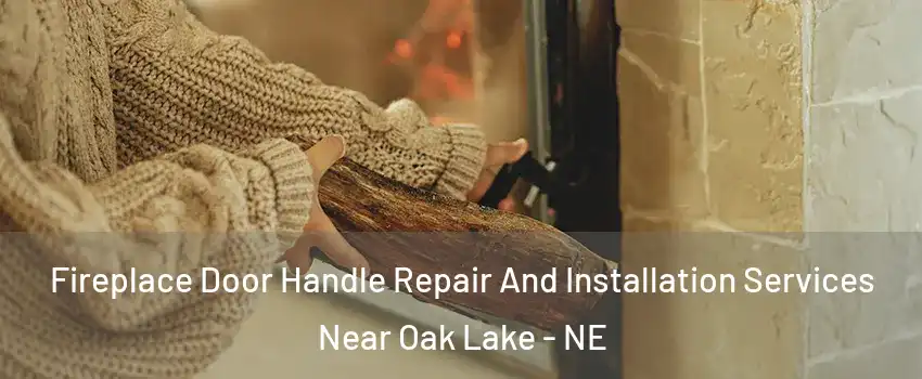 Fireplace Door Handle Repair And Installation Services Near Oak Lake - NE