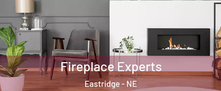 Fireplace Experts Eastridge - NE