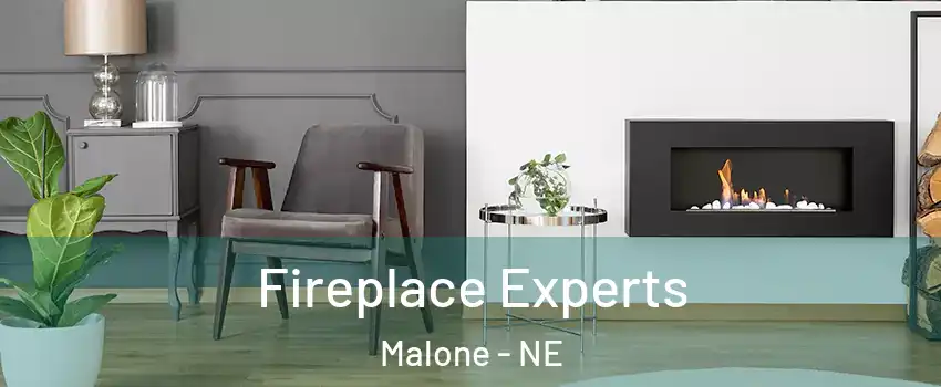 Fireplace Experts Malone - NE