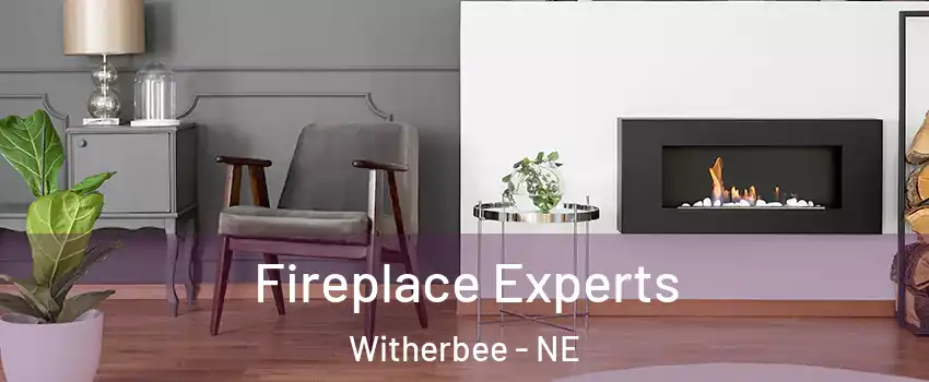 Fireplace Experts Witherbee - NE