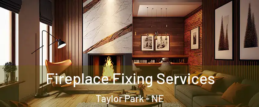 Fireplace Fixing Services Taylor Park - NE
