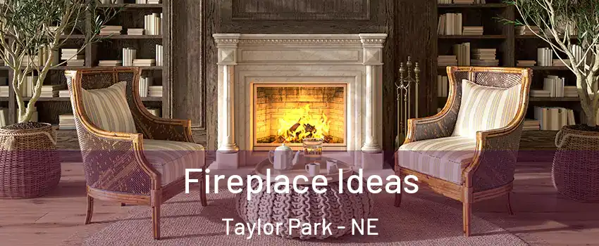 Fireplace Ideas Taylor Park - NE