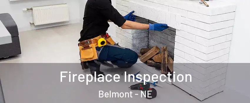 Fireplace Inspection Belmont - NE