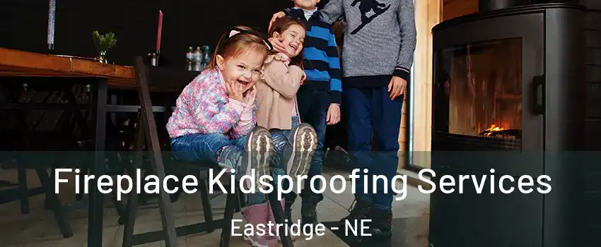 Fireplace Kidsproofing Services Eastridge - NE