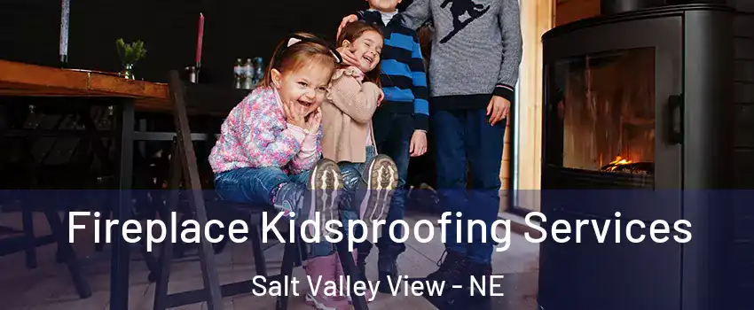Fireplace Kidsproofing Services Salt Valley View - NE