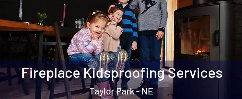 Fireplace Kidsproofing Services Taylor Park - NE