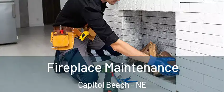 Fireplace Maintenance Capitol Beach - NE