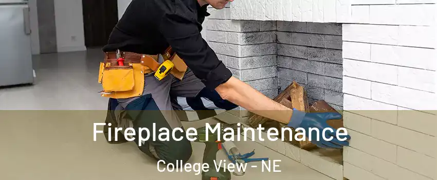 Fireplace Maintenance College View - NE