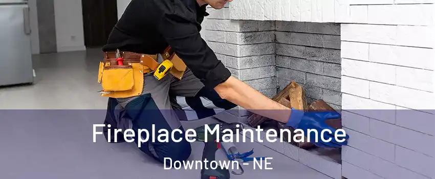 Fireplace Maintenance Downtown - NE