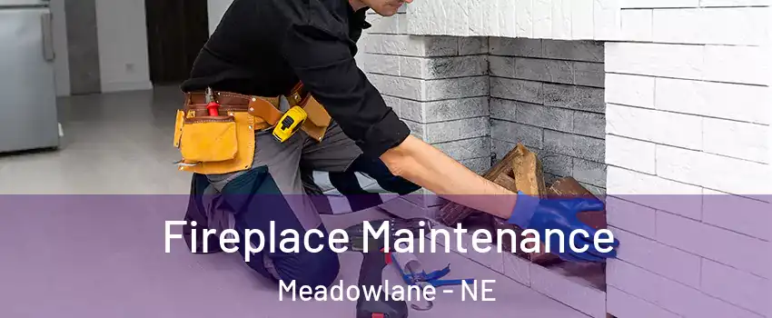 Fireplace Maintenance Meadowlane - NE