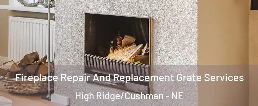Fireplace Repair And Replacement Grate Services High Ridge/Cushman - NE