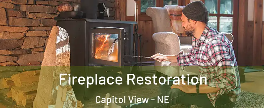 Fireplace Restoration Capitol View - NE