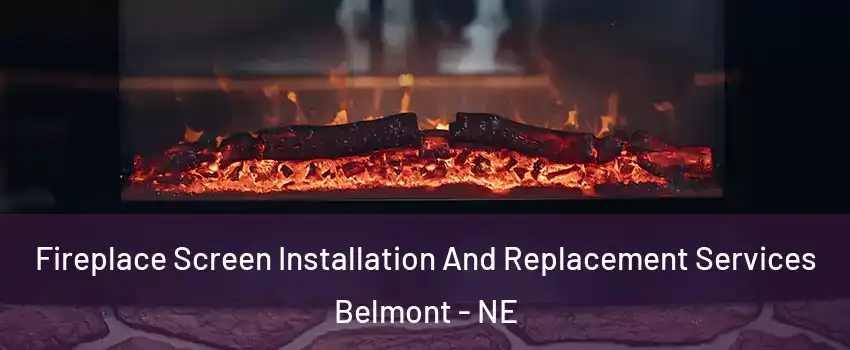 Fireplace Screen Installation And Replacement Services Belmont - NE