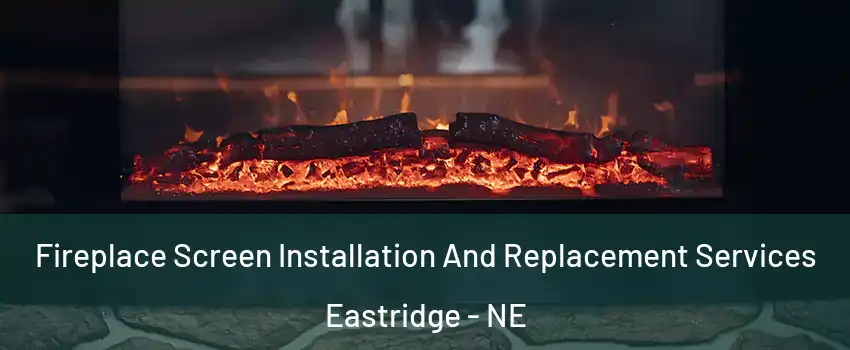 Fireplace Screen Installation And Replacement Services Eastridge - NE