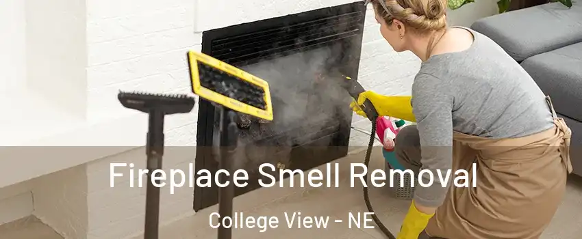 Fireplace Smell Removal College View - NE