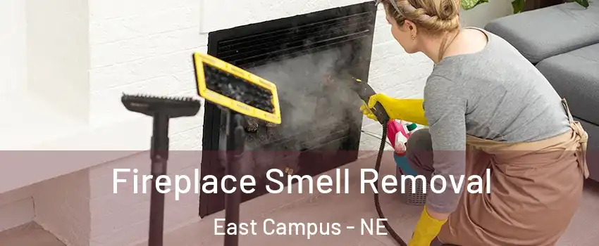 Fireplace Smell Removal East Campus - NE