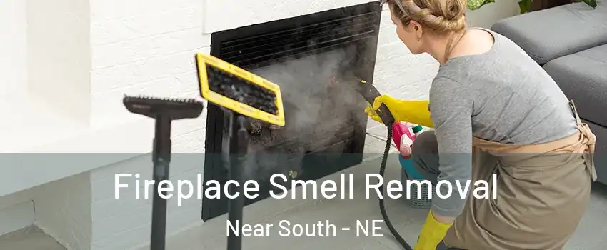 Fireplace Smell Removal Near South - NE