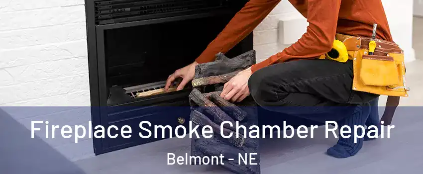 Fireplace Smoke Chamber Repair Belmont - NE
