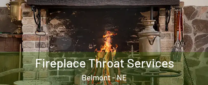 Fireplace Throat Services Belmont - NE