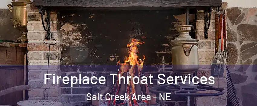 Fireplace Throat Services Salt Creek Area - NE