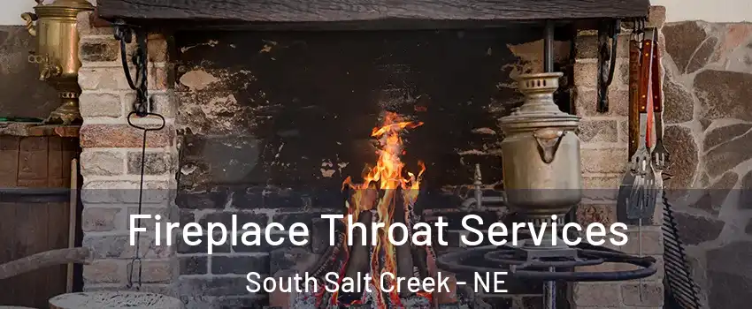 Fireplace Throat Services South Salt Creek - NE