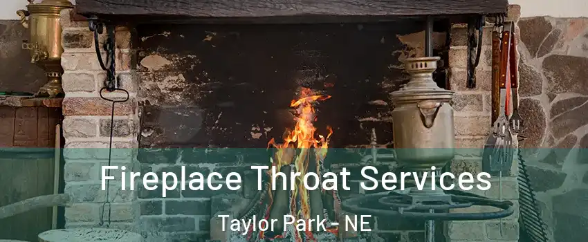 Fireplace Throat Services Taylor Park - NE