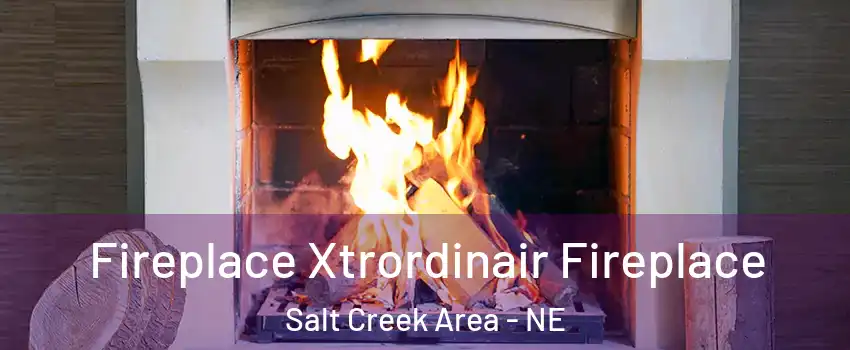 Fireplace Xtrordinair Fireplace Salt Creek Area - NE