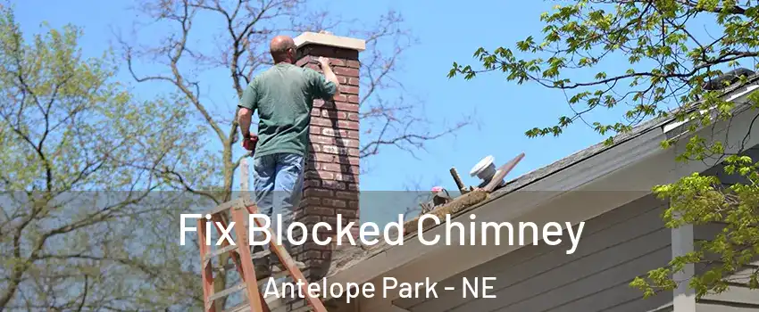Fix Blocked Chimney Antelope Park - NE